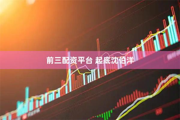 前三配资平台 起底沈伯洋