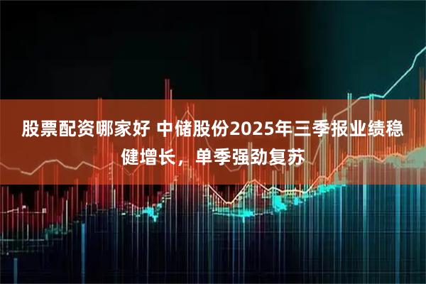 股票配资哪家好 中储股份2025年三季报业绩稳健增长，单季强劲复苏