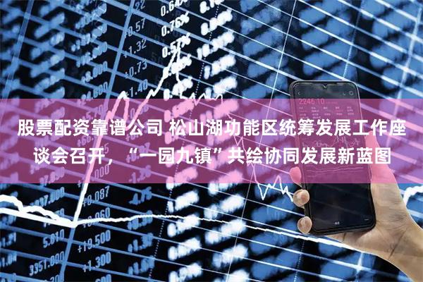 股票配资靠谱公司 松山湖功能区统筹发展工作座谈会召开，“一园九镇”共绘协同发展新蓝图