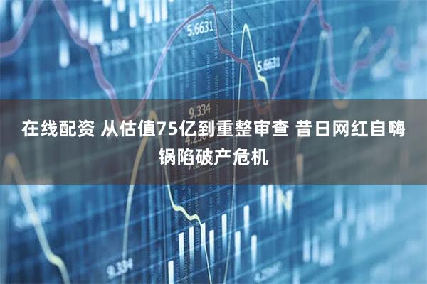 在线配资 从估值75亿到重整审查 昔日网红自嗨锅陷破产危机